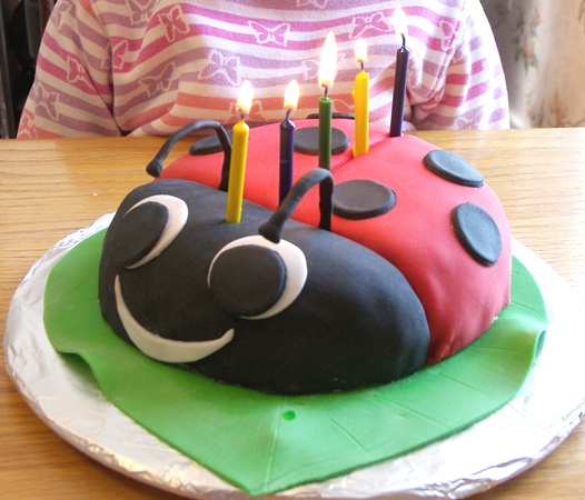 ladybug-cake-candles.jpg