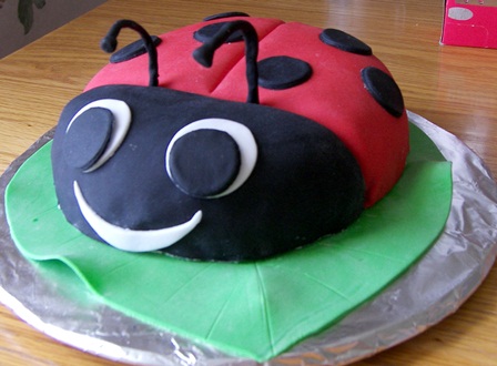 ladybug-cake.jpg