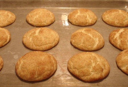 snickerdoodle2.jpg