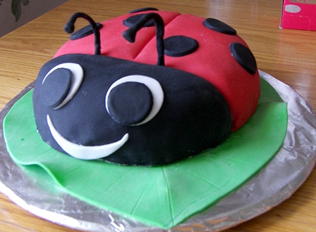 Ladybug Birthday Cakes on Ladybug Birthday Cake   Happy 5th Birthday  Tiffany    Kitchen