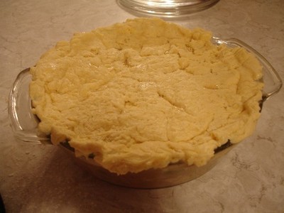 potpie3