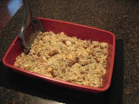 kitty litter cake 