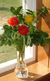 rose bouquet1