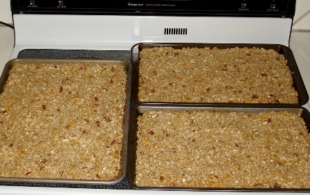 granola5.jpg