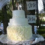 cake wedding roses pearls